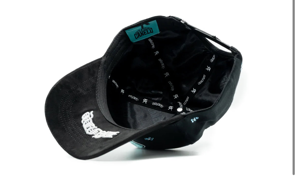 DANDY X CANELO HAT FULL SET