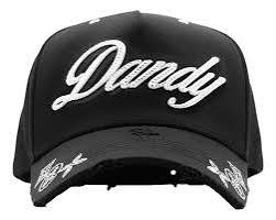 DANDY DID IT AGAIN HAT